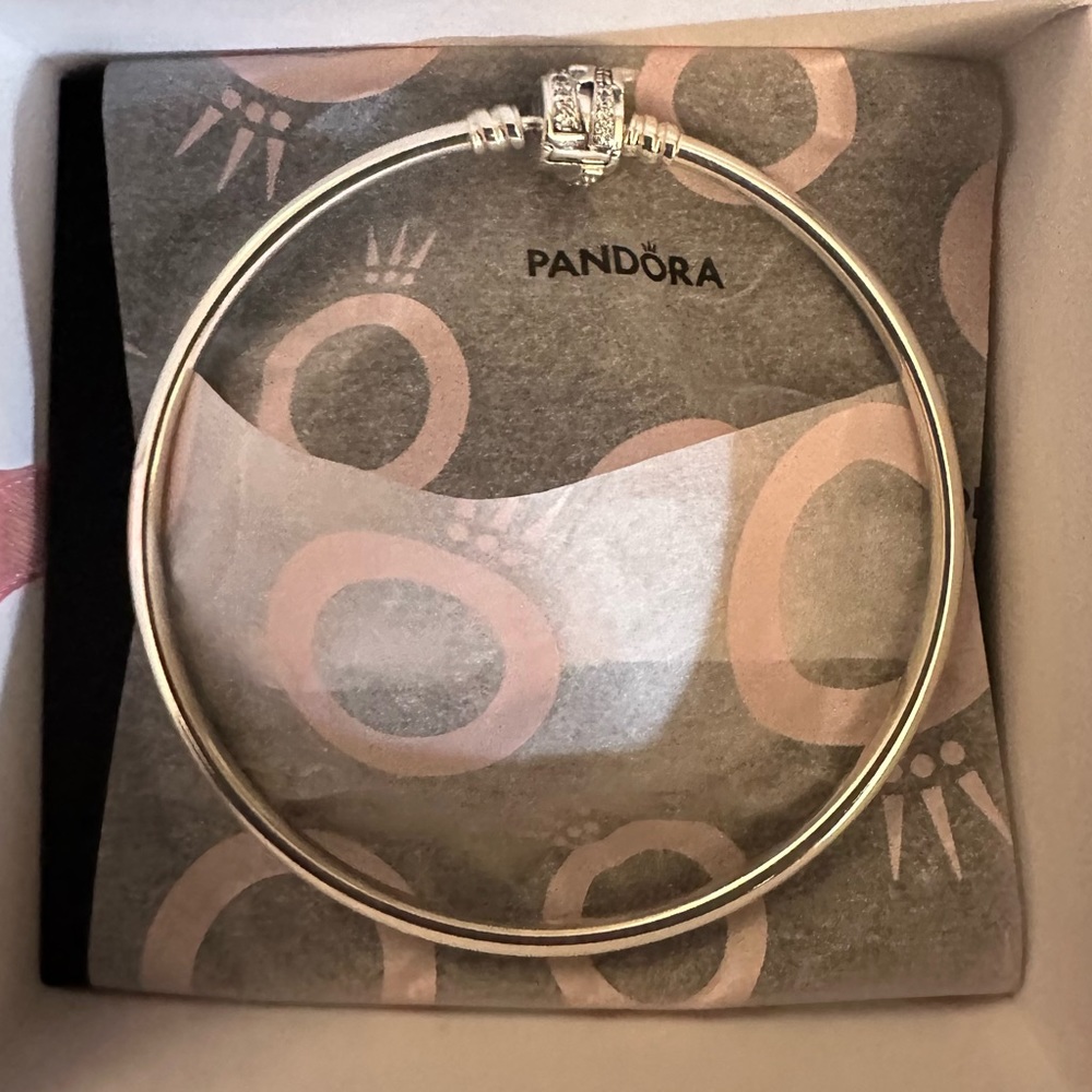 NWB - Pandora bracelet silver
